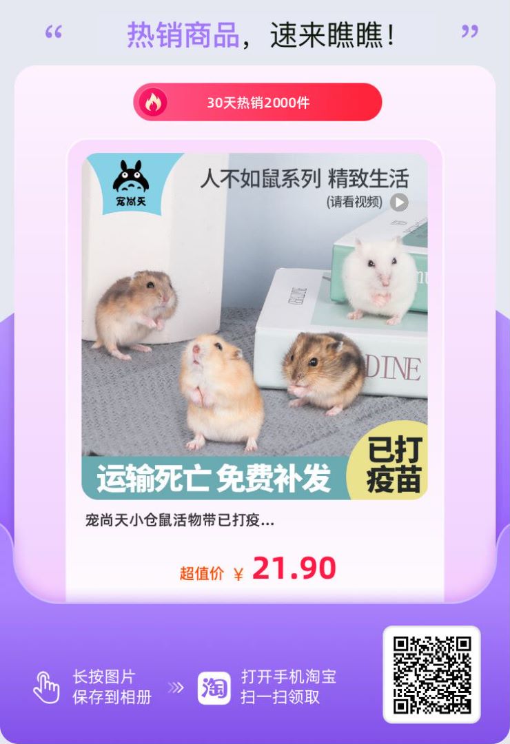 倉鼠也有星期鼠？為避免買到星期鼠，我全靠這2種方式
